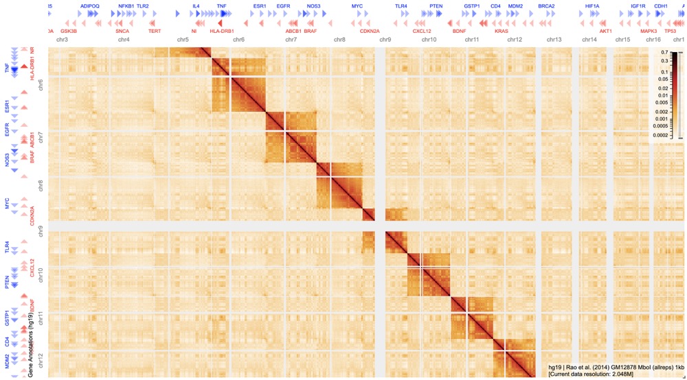 Medical Data Research